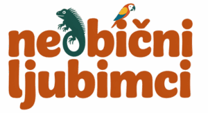 Neobični ljubimci